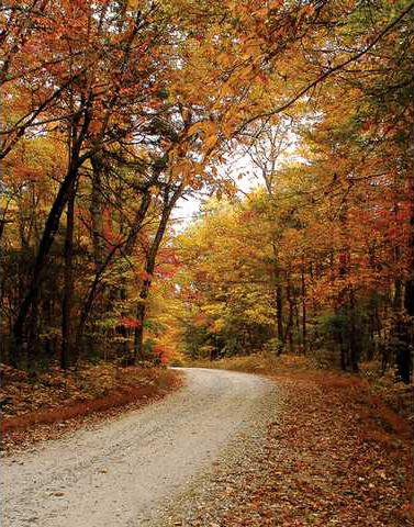 Top or Best AR Filters and Lenses Agencies and Companies in Gainesville, Georgia