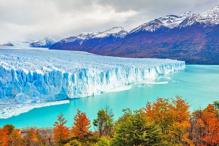 Best Twitch Management Companies in Argentina