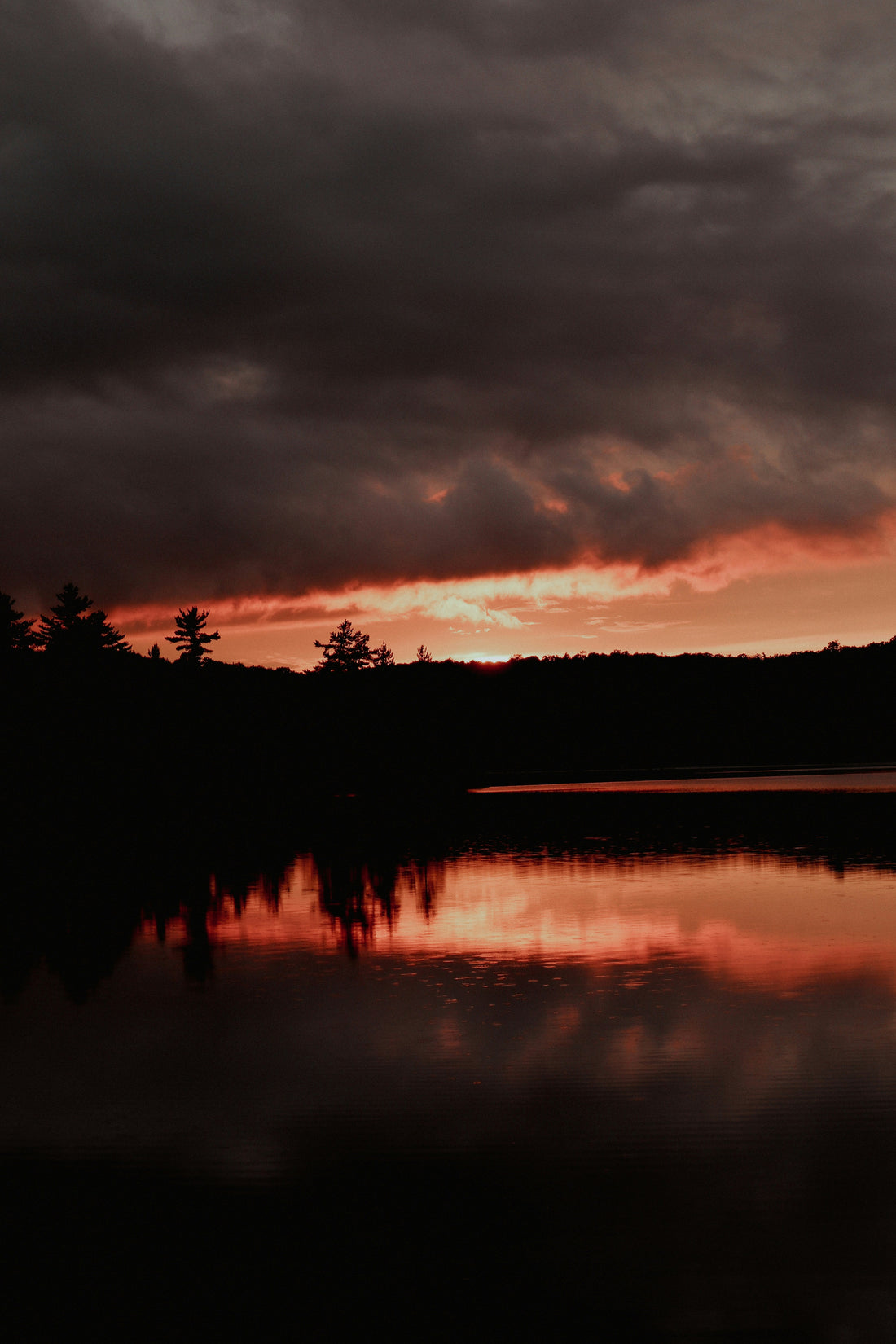 Top or Best AR Filters and Lenses Agencies and Companies in Gorham, Maine