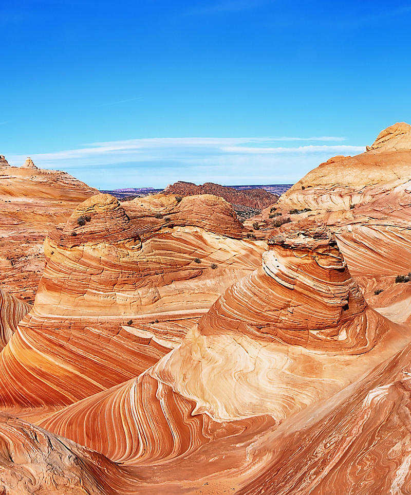 Top or Best Talent Management Agencies and Companies in Phoenix, Arizona