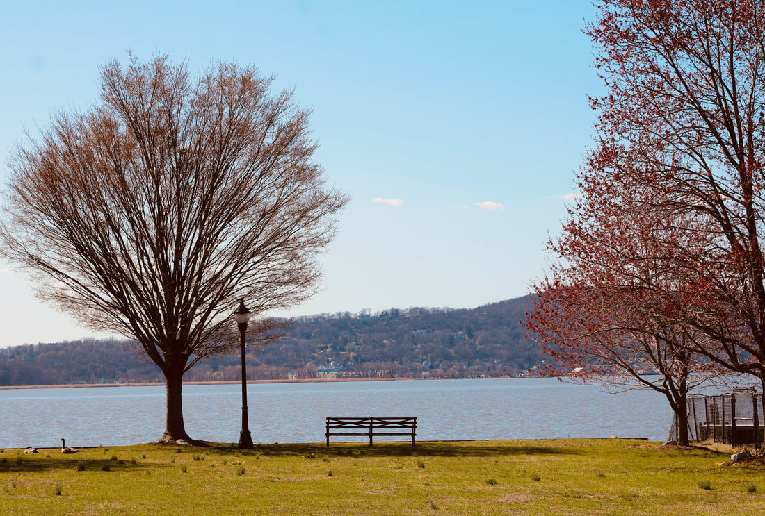 Top or Best Catalog Design Agencies and Companies in Potomac, Maryland