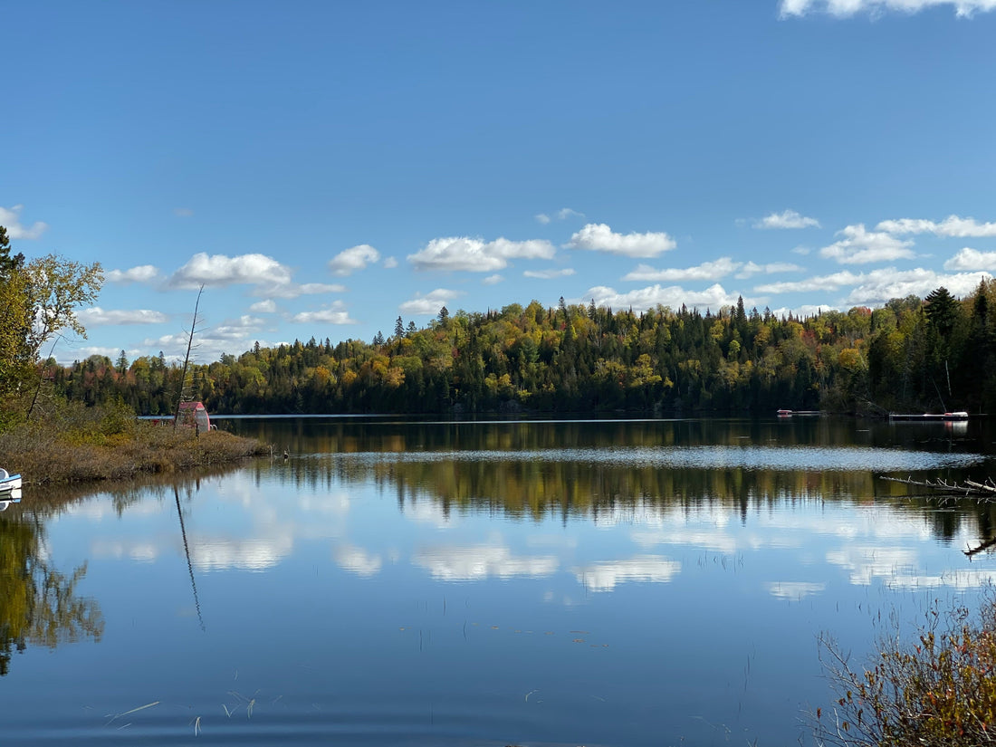 Top or Best Website Design Agencies and Companies in Gorham, Maine