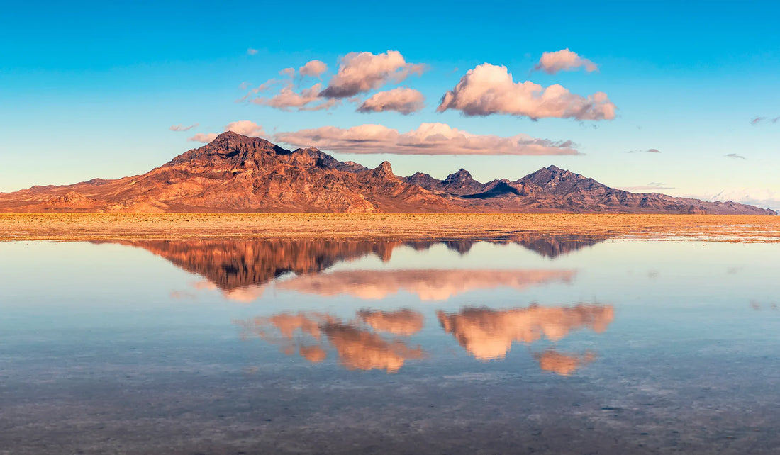 Top and Best TikTok Management Agencies and Companies in Salt Lake City, Utah