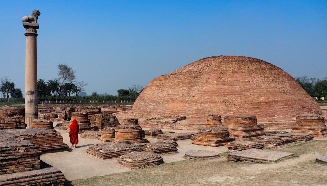 Top or Best X (Twitter) Management Agency in Patna, India