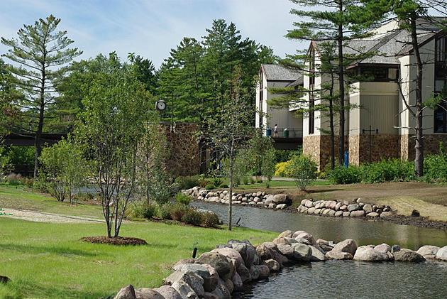 Top or Best TikTok Management Agencies and Companies in Rockford, Illinois