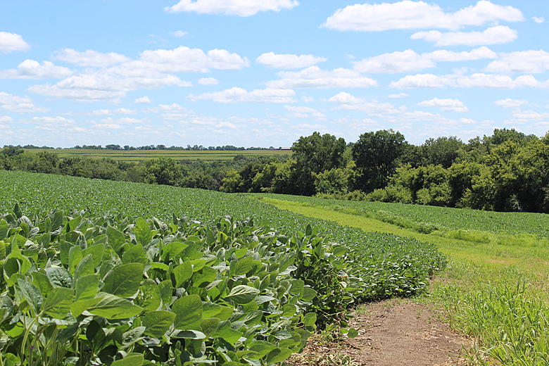 Top or Best Twitch Management Agencies and Companies in Johnston, Iowa