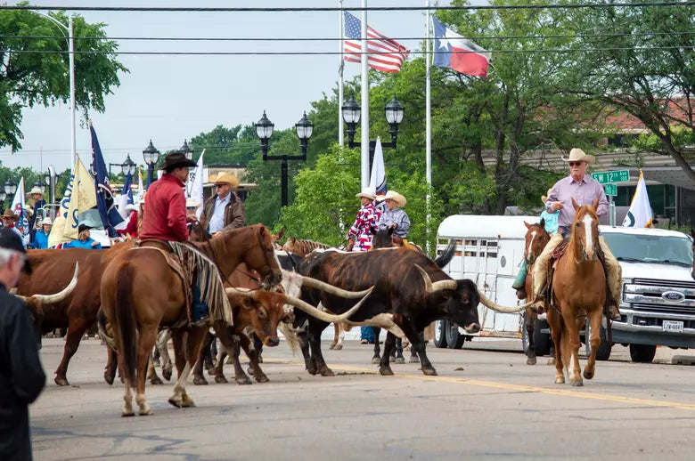 Top or Best Instagram Management Agencies and Companies in Dodge City, Kansas