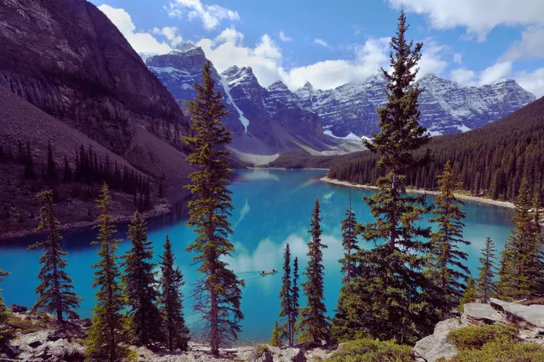 Top or Best LinkedIn Management Agencies and Companies in Lockwood, Montana