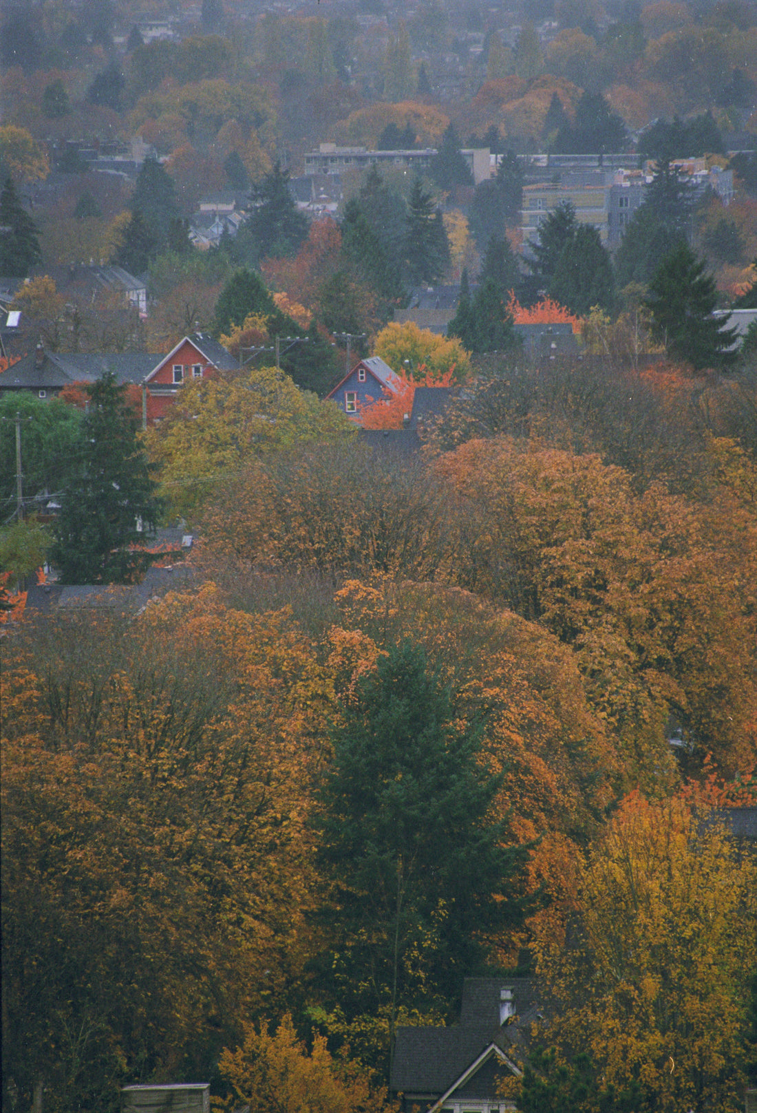 Top and Best NFT Art Agencies and Companies in Hillsboro, Oregon