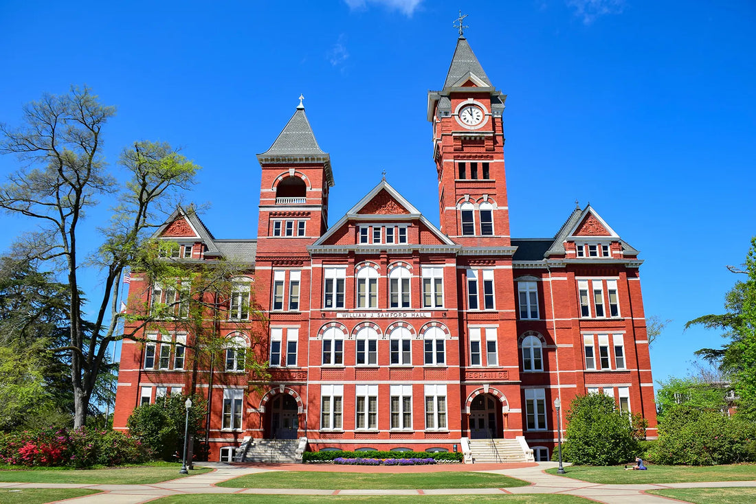 Top or Best Mural Design Agencies and Companies in Auburn, Alabama
