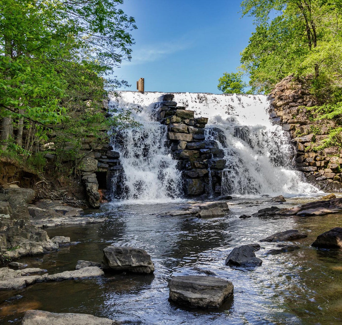 Top or Best Stationery Design Agencies and Companies in Auburn, Alabama