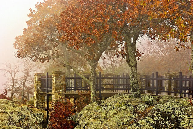 Top 5 Catalog Design Agencies in Arkansas