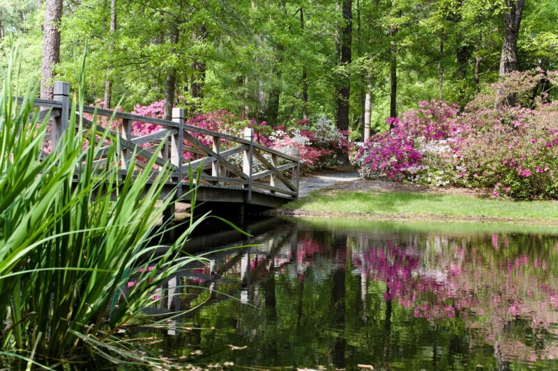 Top or Best Website Design Agencies and Companies in Summerville, South Carolina