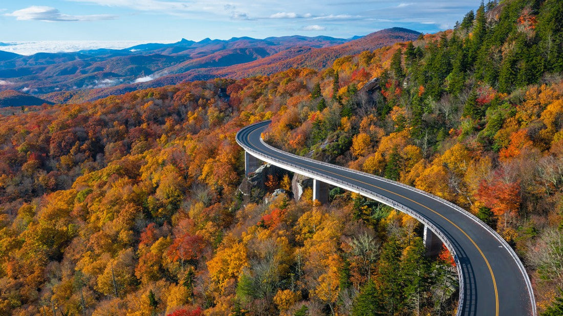 Top Social Media Management Companies in North Carolina