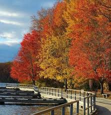 Top or Best Banner Ad Agencies and Companies in Bear, Delaware