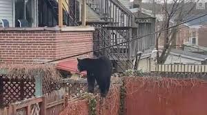 Top or Best Presentation Design Agencies and Companies in Bear, Delaware