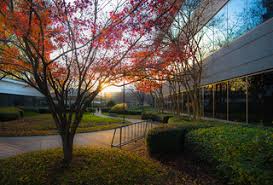 Top or Best Brochure Design Agencies and Companies in Brookhaven, Georgia