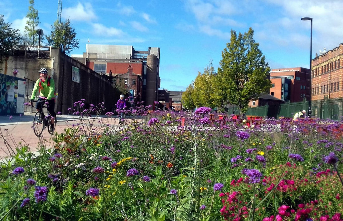 Top or Best Snapchat Management Agencies and Companies in Sheffield, England