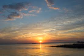 Top or Best Logo Animation Agencies and Companies in Bear, Delaware