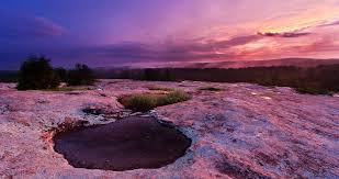 Top or Best NFT Art Agencies and Companies in Brookhaven, Georgia