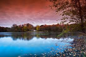 Top or Best Business Card Design Agencies and Companies in Bear, Delaware