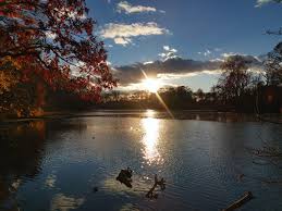 Top or Best NFT Art Agencies and Companies in Bear, Delaware