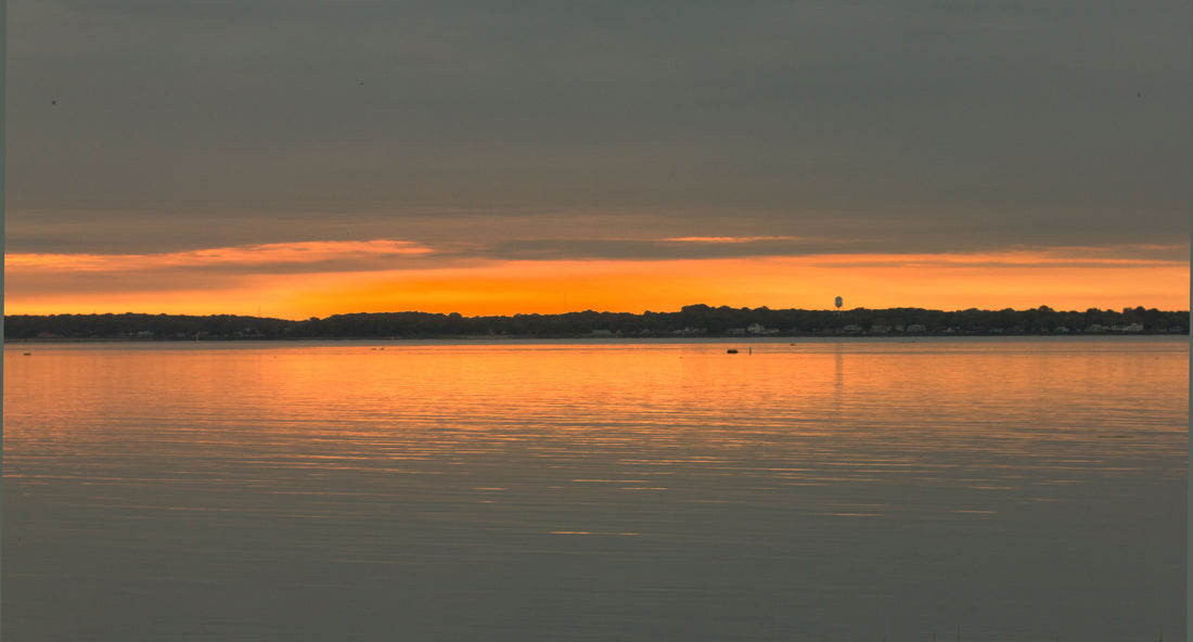 Top or Best Cartoons and Comics Agencies and Companies in Bear, Delaware