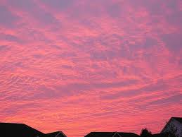 Top or Best Tattoo Design Agencies and Companies in Bear, Delaware