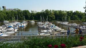 Top or Best Mural Design Agencies and Companies in Bear, Delaware