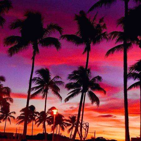 Top or Best Banner Ad Agencies and Companies in Miami Beach, Florida