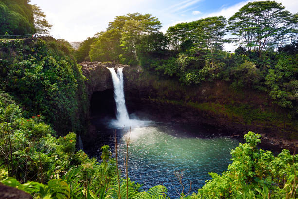 Top or Best Banner Ads Agencies and Companies in Wailuku, Hawaii