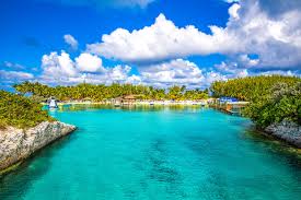 Best X (Twitter) Management Companies in Bahamas