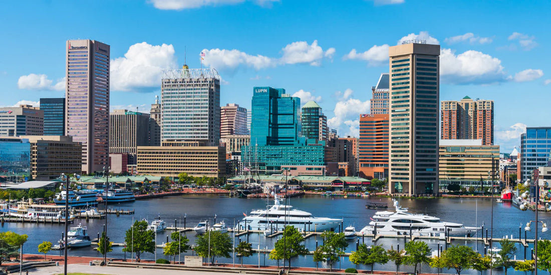 Best Photography & Photo Editing Agencies in Maryland