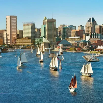 Top or Best Infographic Design Agencies and Companies in Baltimore, Maryland