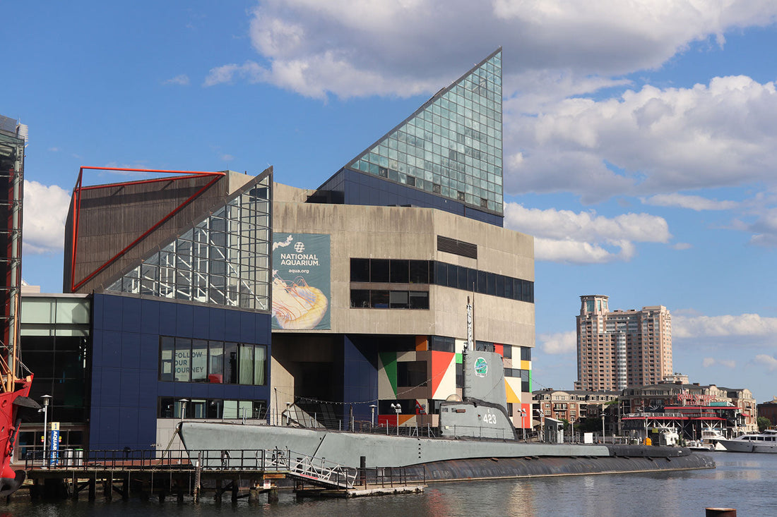 Top or Best Virtual Background Design Agencies and Companies in Baltimore, Maryland