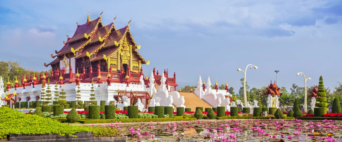 Top or Best Athlete Management Agencies and Companies in Thailand