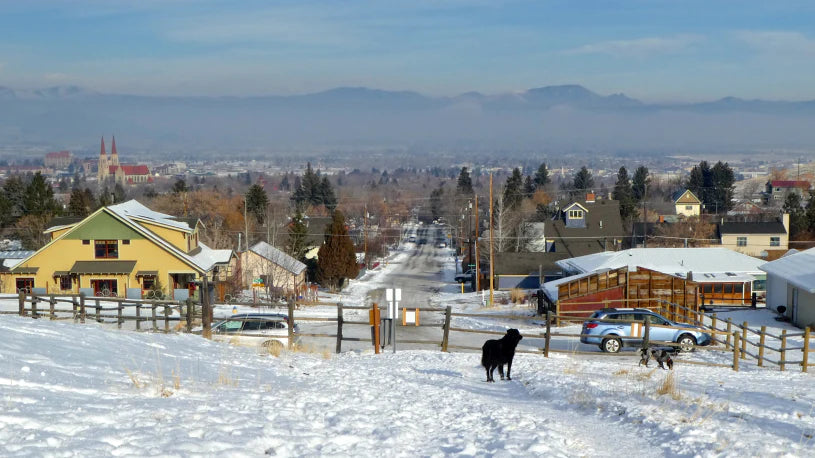 Top or Best Storyboard Agencies and Companies in Helena Valley Southeast, Montana