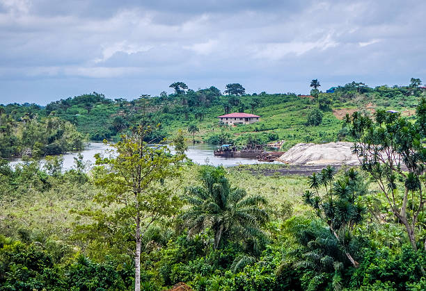 Top 5 Banner Ads Agencies in Liberia: Crafting Ads That Drive Results