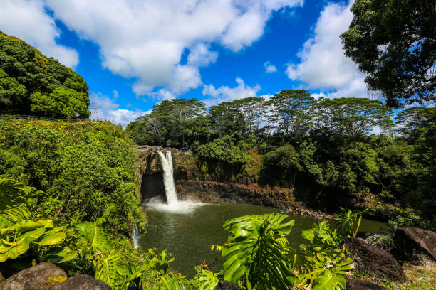 Top or Best Brochure Design Agencies and Companies in Wailuku, Hawaii