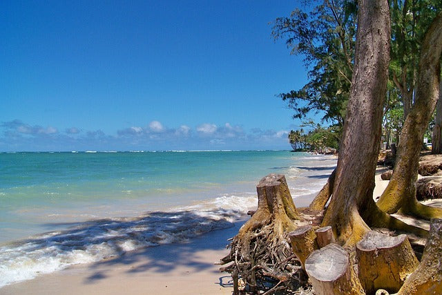 Top 5 Catalog Design Agencies in Hawaii