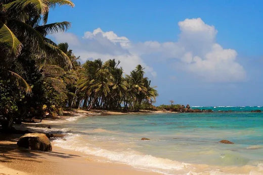 Top 5 Catalog Design Agencies in Nicaragua