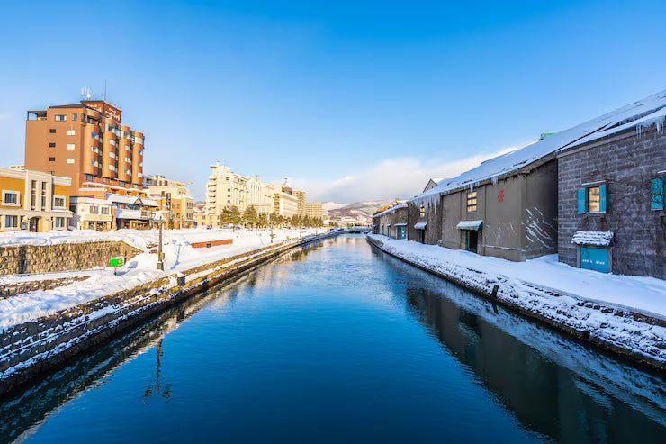 Top or Best AR Filters & Lenses Agencies and Companies in Sapporo, Japan