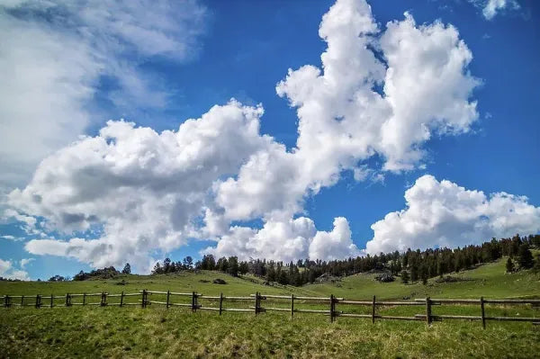 Top or Best Instagram Management Agencies and Companies in Buffalo, Wyoming