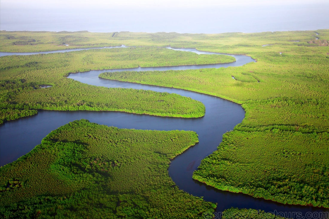 Top 5 Brochure Design Agencies in The Gambia