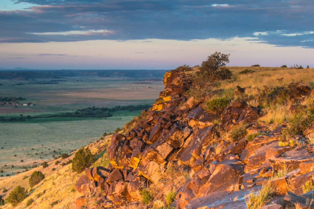 Top or Best Invitation Design Agencies and Companies in Enid, Oklahoma