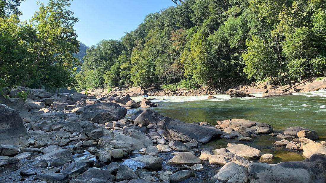 Top or Best Graphic Design Agencies and Companies in Beckley, West Virginia