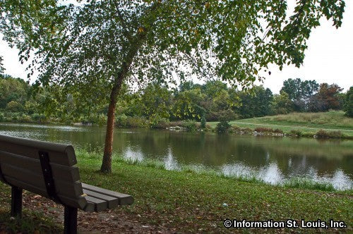 Top or Best Mural Design Agencies and Companies in Oakville, Missouri