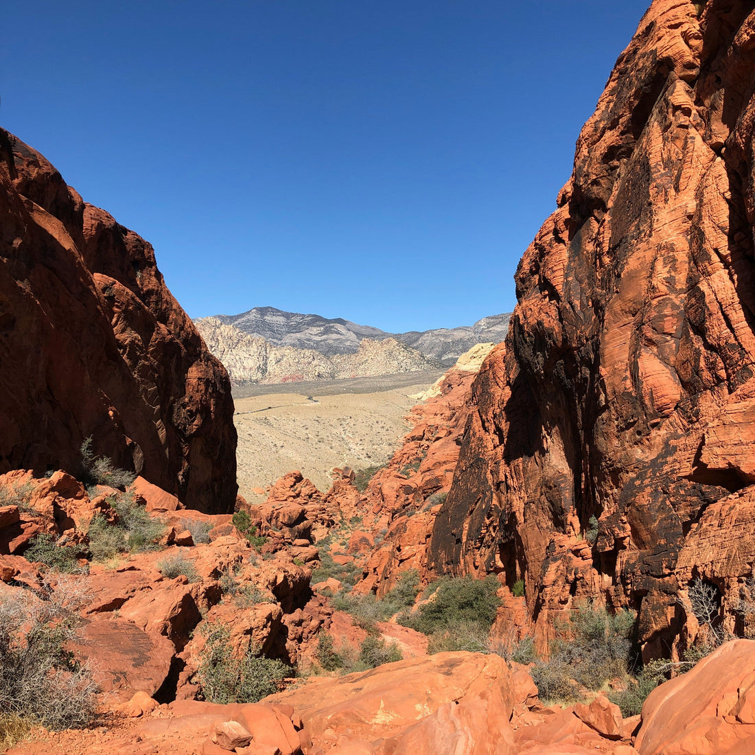 Top and Best Brochure Design Agencies and Companies in Sparks, Nevada