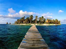Best X (Twitter) Management Companies in Belize