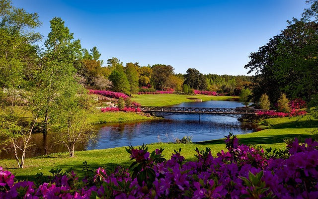 Top 5 Brochure Design Agencies in Alabama